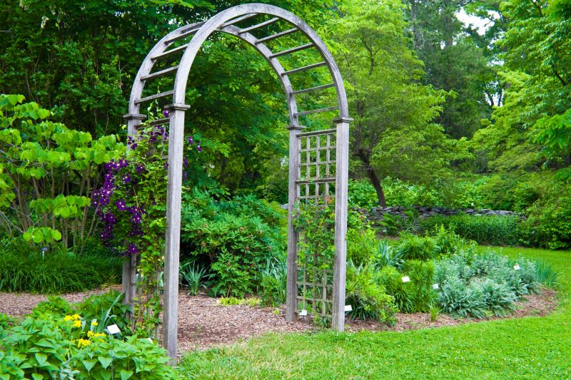 Enhances garden aesthetics