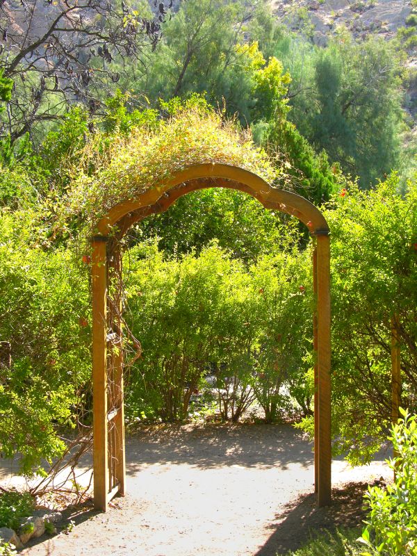 Arbor Repair