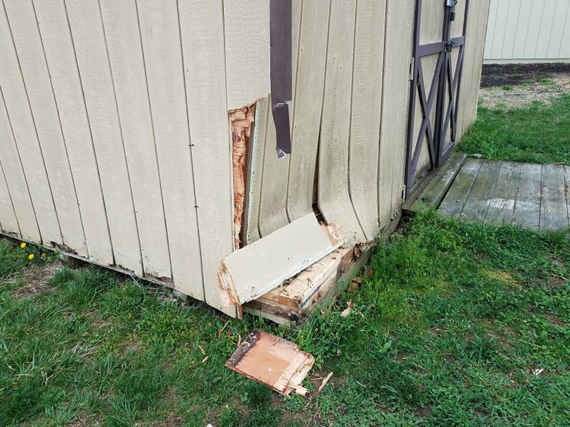 Barn Siding Repair in Olathe, KS
