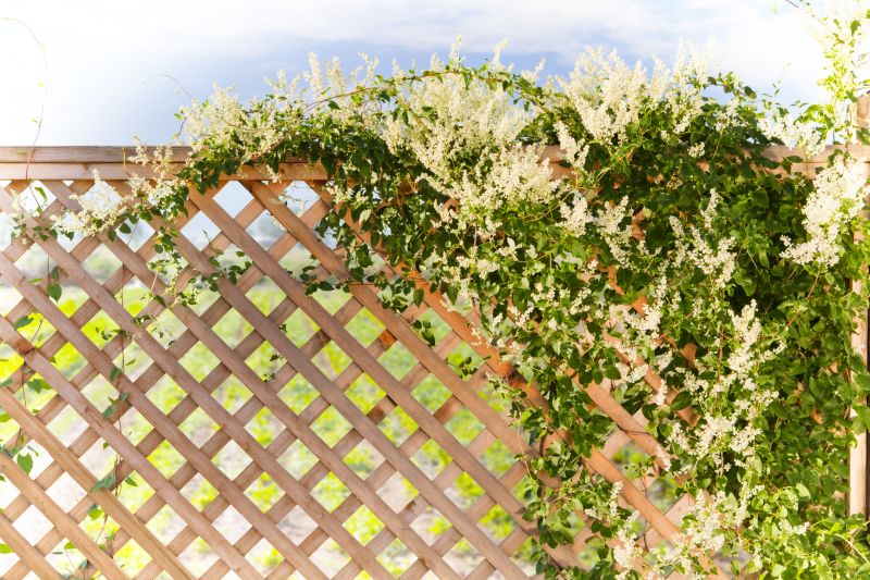 Garden Trellis Installation in Conroe, TX