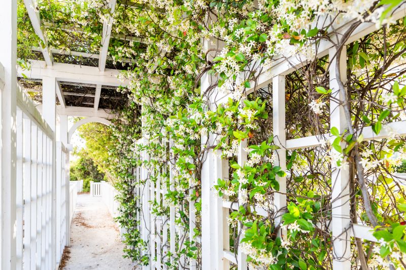 Garden Trellis Installation in Kansas City, KS