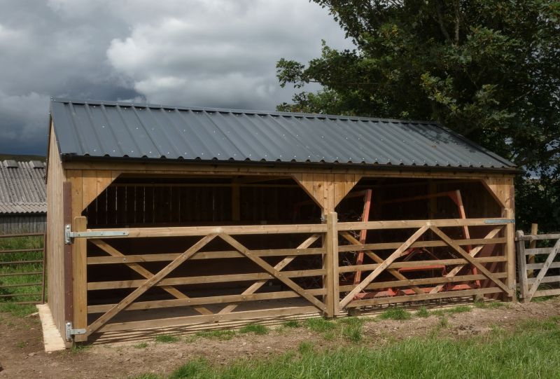Horse Shelter Construction in Conroe, TX