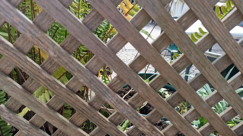 Trellis Fence Construction in Wilmington, NC