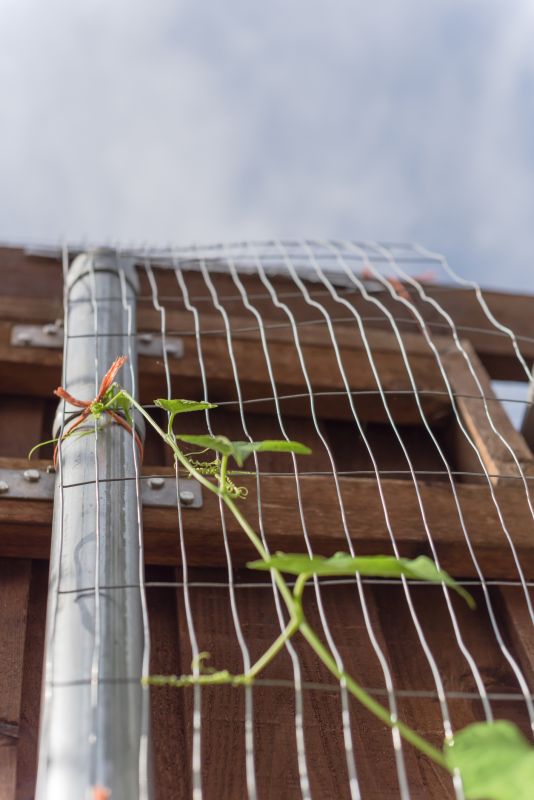 Trellis Fence Construction in Kansas City, KS